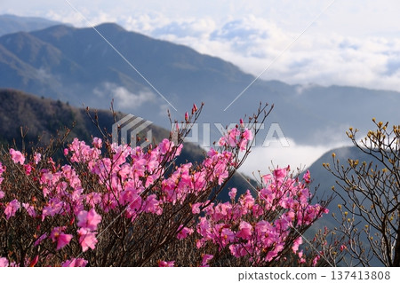 春花與山巒在晨光中搖曳-一片籠罩在柔和空氣中的景色 春花與山巒在晨光中搖曳-一片籠罩在柔和空氣中的景色 137413808