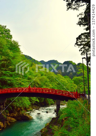 日光東照宮的神橋，在春意盎然的綠意中閃閃發光（栃木縣日光市）2 137414429