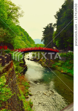The Shinkyo Bridge at Nikko Toshogu Shrine, shining amidst the fresh greenery of spring (Nikko City, Tochigi Prefecture) 3 The Shinkyo Bridge at Nikko Toshogu Shrine, shining amidst the fresh greenery of spring (Nikko City, Tochigi Prefecture) 3 137414430