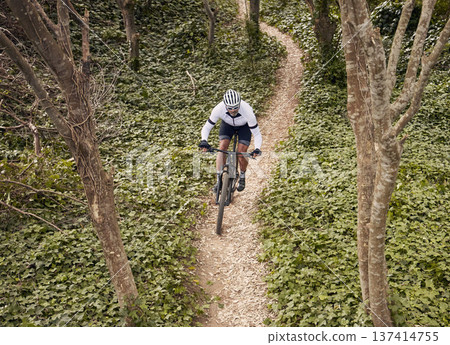 Forest path, mountain bike and sports person travel, ride and adventure on nature trail, cycling challenge or bicycle journey. Top view, environment and athlete training, fitness and freedom in woods Forest path, mountain bike and sports person travel, ride and adventure on nature trail, cycling challenge or bicycle journey. Top view, environment and athlete training, fitness and freedom in woods 137414755