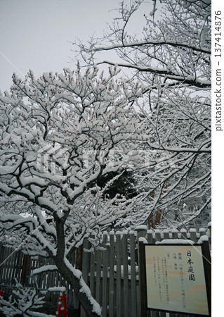 梅花和雪景 梅花和雪景 137414876