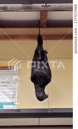 避免烏鴉 137415066