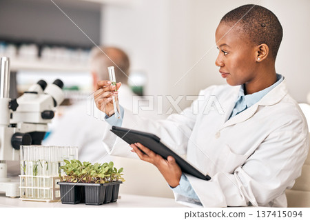 Scientist, test tube and plants on tablet for laboratory research, agriculture and sustainability analysis. African woman or student in science with leaf, growth and eco study on digital technology 137415094