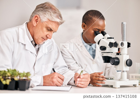 Science, microscope and sample with a medical team in the laboratory for biochemistry or sustainability. Research, agriculture or growth with a man and woman scientist in a lab for innovation Science, microscope and sample with a medical team in the laboratory for biochemistry or sustainability. Research, agriculture or growth with a man and woman scientist in a lab for innovation 137415108