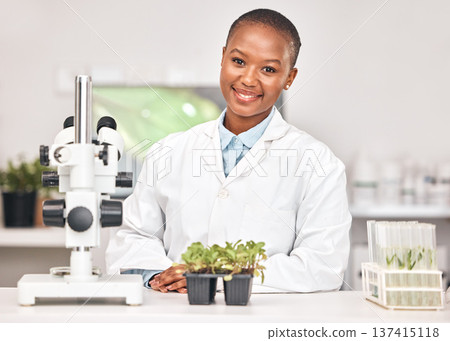 Science, plant and portrait of black woman in laboratory for sustainability research, botany or biochemistry. Pharmacy, medical and healthcare with scientist and for product, ecology or agriculture Science, plant and portrait of black woman in laboratory for sustainability research, botany or biochemistry. Pharmacy, medical and healthcare with scientist and for product, ecology or agriculture 137415118