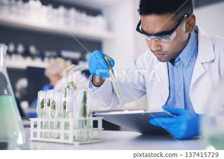 Science, plants and man with checklist in laboratory, research and thinking with nature. Biotech, pharmaceutical study and scientist with clipboard, lab technician checking solution in test tube. Science, plants and man with checklist in laboratory, research and thinking with nature. Biotech, pharmaceutical study and scientist with clipboard, lab technician checking solution in test tube. 137415729