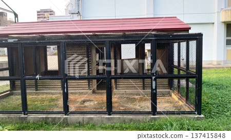 Rabbit hutch at elementary school 137415848
