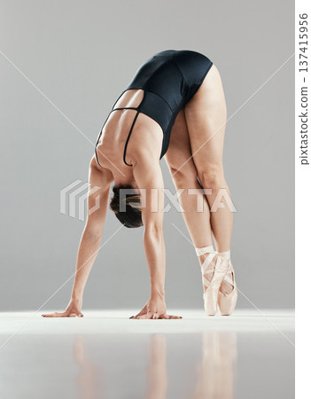Stretching, dance and a woman for ballet on a studio background getting ready for a performance. Flexible, start and a girl, dancer or ballerina on a backdrop for creative expression, art or balance Stretching, dance and a woman for ballet on a studio background getting ready for a performance. Flexible, start and a girl, dancer or ballerina on a backdrop for creative expression, art or balance 137415956