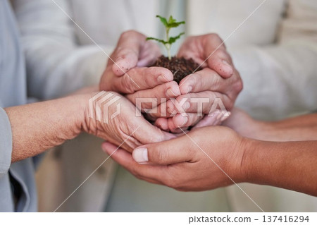 Support hands, plants and palm of business people with climate change help, agro community service or agriculture development. Future investment, company carbon footprint or group environment project Support hands, plants and palm of business people with climate change help, agro community service or agriculture development. Future investment, company carbon footprint or group environment project 137416294