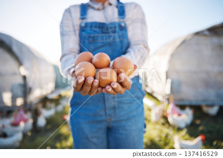 Woman with eggs in hands, farm and chickens on grass in sunshine in countryside field with sustainable business. Agriculture, poultry farming and farmer holding produce for food, nature and birds. 137416529