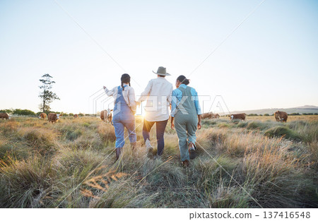 Sunrise, agriculture and women on farm with cow for inspection, livestock health or ecology. Agro business, countryside and back of people and cattle for dairy, beef production or sustainable farming 137416548