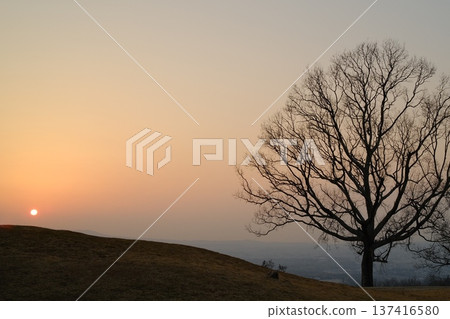 一棵樹孤零零地矗立在山頂，沐浴在落日餘暉中。暮色降臨，天空遼闊無垠，構成了一幅絕美的畫面。 137416580