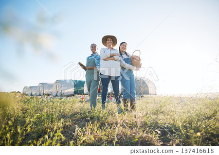 Farmer team, women and together on a farm for inspection, production and quality control. Farming, sustainability and portrait of group of people with eggs outdoor for teamwork in countryside 137416618