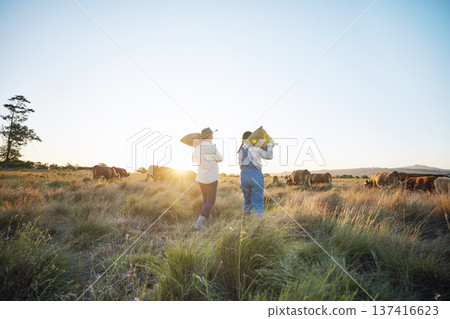 People, sack or farmers walking to cattle on field harvesting or farming livestock in small business together. Dairy production, teamwork or women carrying bags for animal growth or cows in nature 137416623