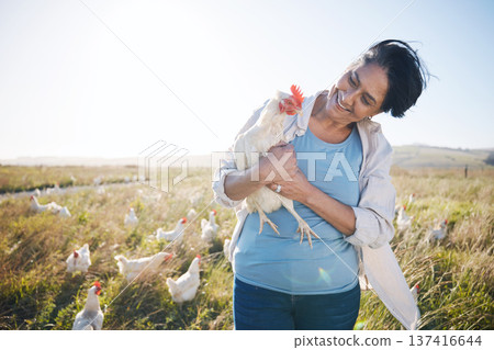 Farm, agriculture and a woman outdoor with a chicken for animal care, development and small business. Farming, sustainability and farmer person with organic or free range produce in countryside 137416644