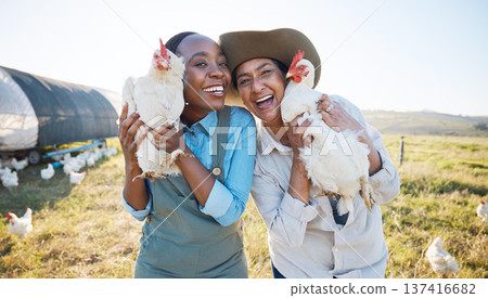 Portrait, teamwork or farmers chicken on farm or field harvesting poultry livestock in small business. Dairy production, collaboration or happy women with animal, hen or rooster for sustainability 137416682