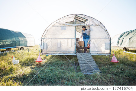 Chicken coop, woman with basket of eggs and birds in grass in countryside greenhouse with sustainable business in field. Agriculture, poultry farm and farmer working with food, animals and nature. 137416704