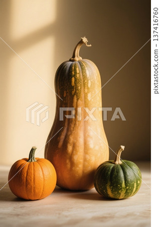 Three close-up still lifes of pumpkins 137416760