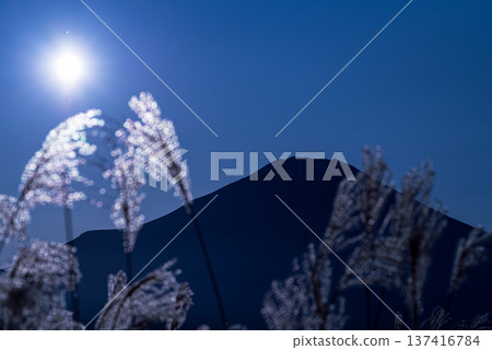 Fuji and Susuki 137416784