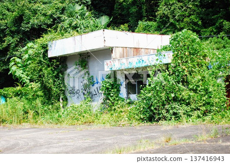 Plant-covered ruins 137416943