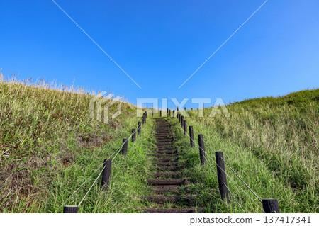 Stairs in the grassland leading up to the clear blue sky Stairs in the grassland leading up to the clear blue sky 137417341