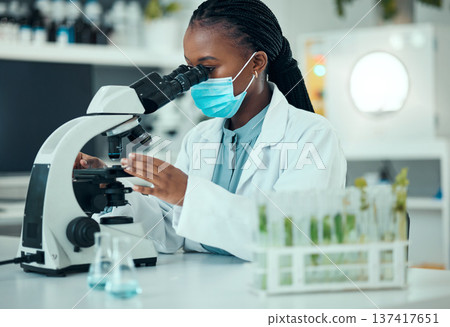 Microscope, black woman and laboratory plant, science study and analysis of natural pharmaceutical, drugs or biotechnology. Botany lab, research or female scientist check organic biochemistry sample Microscope, black woman and laboratory plant, science study and analysis of natural pharmaceutical, drugs or biotechnology. Botany lab, research or female scientist check organic biochemistry sample 137417651