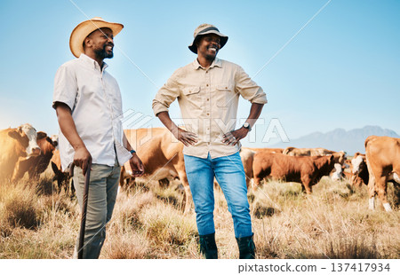 Farming people, talking or men with sales negotiation, cow farm and countryside with dairy agriculture environment. Happy, cattle farmers or guys with sustainability beef production, smile or ecology Farming people, talking or men with sales negotiation, cow farm and countryside with dairy agriculture environment. Happy, cattle farmers or guys with sustainability beef production, smile or ecology 137417934