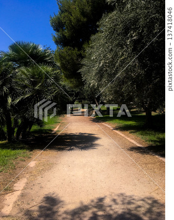 Sandy pathway stretches ahead through Valencia, Jardines del Turia park surrounded by tall trees and green shrubs. Sun shines bright in clear blue sky, creating warm atmosphere. Natural beauty Sandy pathway stretches ahead through Valencia, Jardines del Turia park surrounded by tall trees and green shrubs. Sun shines bright in clear blue sky, creating warm atmosphere. Natural beauty 137418046