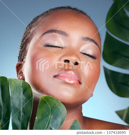 Natural, beauty and face of black woman with leaf, relax skincare glow or sustainable dermatology. Studio, plant and African person with monstera, eco product and eyes closed on blue background Natural, beauty and face of black woman with leaf, relax skincare glow or sustainable dermatology. Studio, plant and African person with monstera, eco product and eyes closed on blue background 137418095