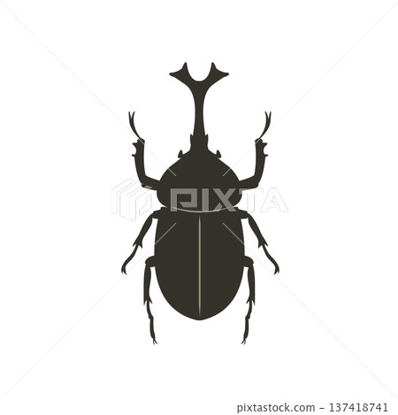 Beetle silhouette illustration Insect silhouette 137418741