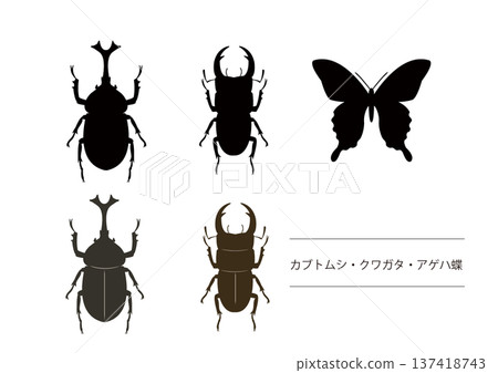 Insect silhouette illustrations: Beetle, stag beetle, and butterfly silhouette illustrations Insect silhouette illustrations: Beetle, stag beetle, and butterfly silhouette illustrations 137418743