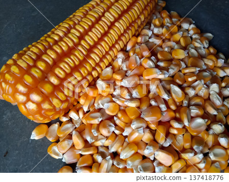 A dry corn cob food on black background A dry corn cob food on black background 137418776