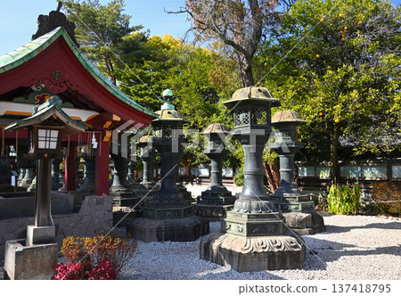Ueno Toshogu Shrine precincts Ueno Toshogu Shrine precincts 137418795