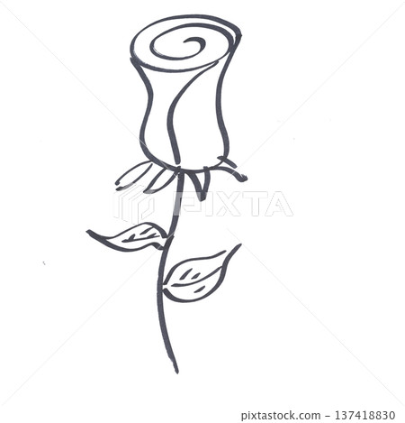 a rose drawn with a black marker 137418830