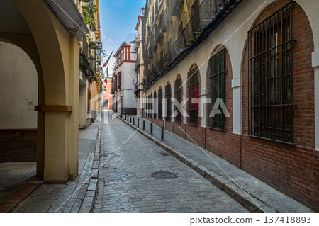 Empty Cobblestone Alley Empty Cobblestone Alley 137418893