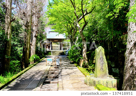 【神奈川】圓覺寺之春 - 寺院內的佐克托庵 137418951