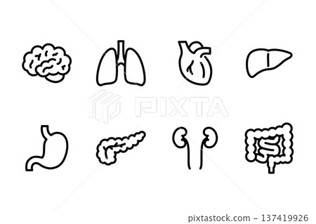 簡單的人體內部器官插圖圖示集，線條畫 137419926