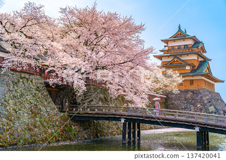 高島城，盛開的櫻花，日式服裝，和服，女人[長野縣諏訪市] 137420041
