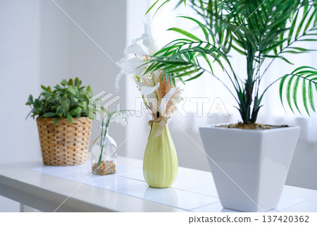 Houseplant and vase Houseplant and vase 137420362