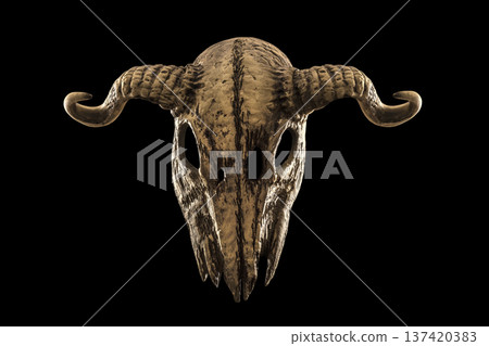 Animal skull with horns isolated on black with clipping path Animal skull with horns isolated on black with clipping path 137420383