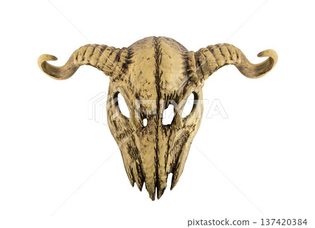 Animal skull with horns isolated on white with clipping path 137420384