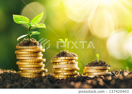 Growing Money - Plant On Coins - Finance And Investment Concept. The seedlings are growing on the coins placed on the ground, thinking about financial growth. Savings Coins. Interest Concept. 137420403