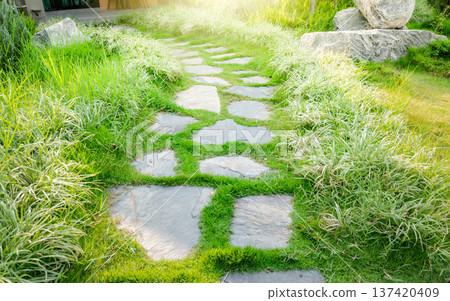 Walkway and bush in garden. Also called concrete pavement, floor, passage, path, footpath, pathway or passageway. Include natural plant, lawn and grass. For walking along and decorative park, garden. 137420409