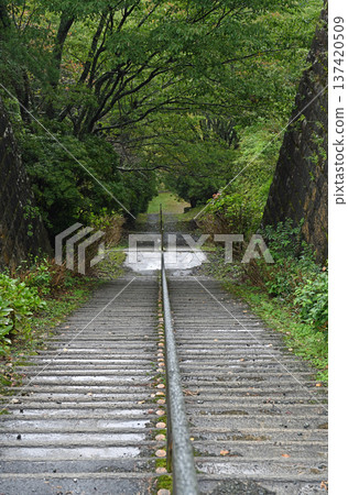 東方的馬丘比丘：通往別子銅礦戶之平地區斜坡遺蹟的長階梯 137420509