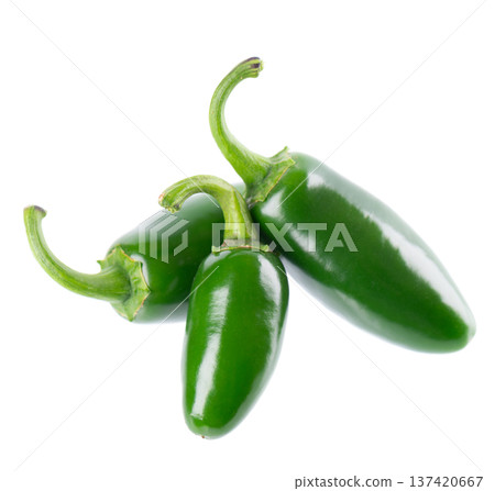 Fresh jalapeno pepper isolated on white background. Slices of green hot serrano pepper. Clipping path. Fresh jalapeno pepper isolated on white background. Slices of green hot serrano pepper. Clipping path. 137420667