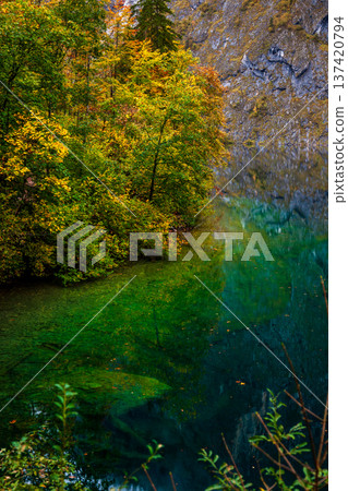 The crystal-clear autumn waters of Königssee in Germany and the driftwood 137420794