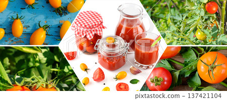 Farm to Table Healthy Tomato Products and Cultivation Farm to Table Healthy Tomato Products and Cultivation 137421104