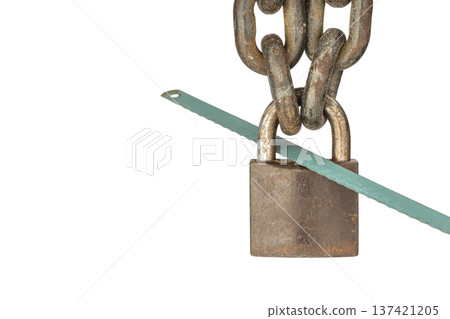 Close-up of a Rusty Metal Chain Securely Fastened with an Aged locked Padlock Interrupted by a Saw Blade Suggesting Tension and Potential for Breaking isolated on white 137421205