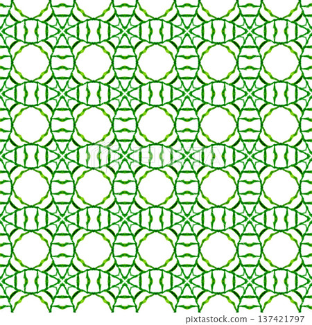 Textile ready terrific print, swimwear fabric, wallpaper, wrapping. Green authentic boho chic summer design. Arabesque hand drawn design. Oriental arabesque hand drawn border. Textile ready terrific print, swimwear fabric, wallpaper, wrapping. Green authentic boho chic summer design. Arabesque hand drawn design. Oriental arabesque hand drawn border. 137421797