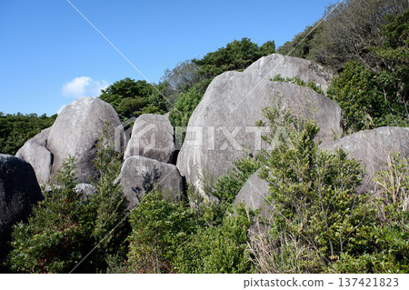 高知縣東陣場遺址和東陣石巨石 高知縣東陣場遺址和東陣石巨石 137421823